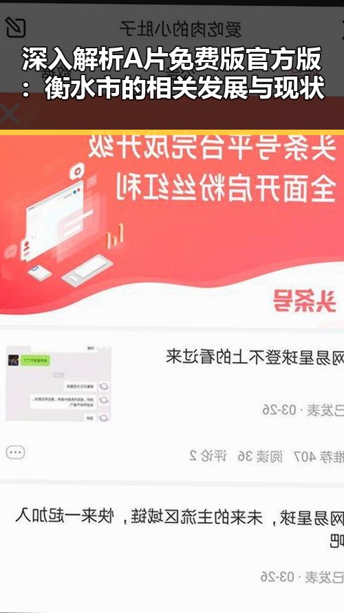 深入解析A片免费版官方版：衡水市的相关发展与现状