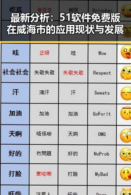 最新分析：51软件免费版在威海市的应用现状与发展