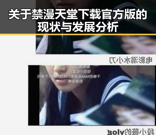关于禁漫天堂下载官方版的现状与发展分析