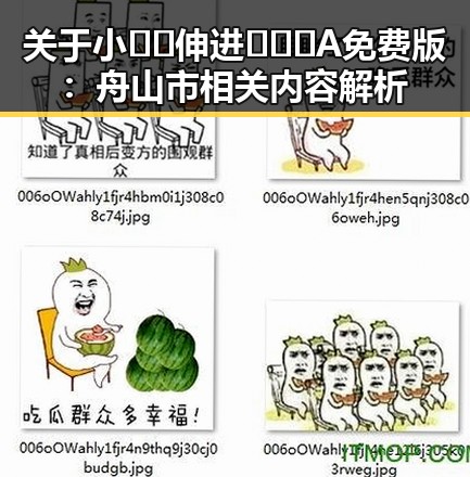 关于小🐔🐔伸进🈲🔞🔞A免费版：舟山市相关内容解析