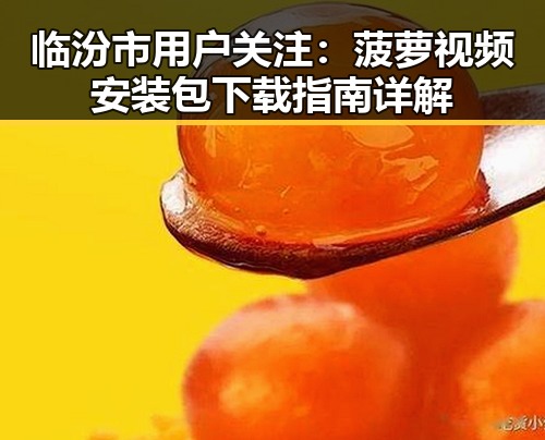 临汾市用户关注：菠萝视频安装包下载指南详解