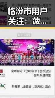 临汾市用户关注：菠萝视频安装包下载指南详解