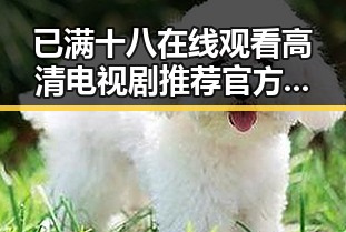 已满十八在线观看高清电视剧推荐官方版正版下载——白城市网友必看指南
