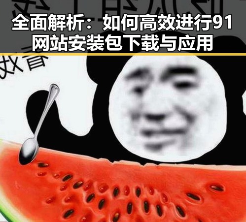 全面解析：如何高效进行91网站安装包下载与应用