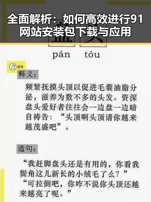全面解析：如何高效进行91网站安装包下载与应用