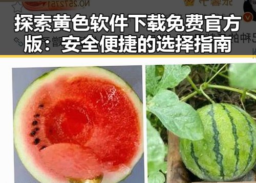 探索黄色软件下载免费官方版:安全便捷的选择指南