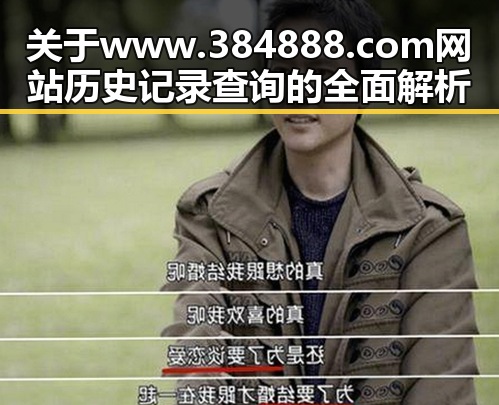 关于www.384888.com网站历史记录查询的全面解析