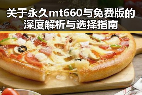 关于永久mt660与免费版的深度解析与选择指南