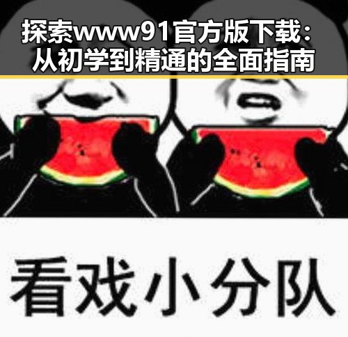 探索 www91官方版下载:从初学到精通的全面指南