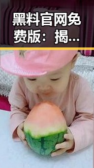 黑料 官网免费版：揭示商丘市最新动态与背景分析