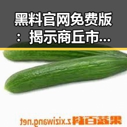黑料 官网免费版：揭示商丘市最新动态与背景分析