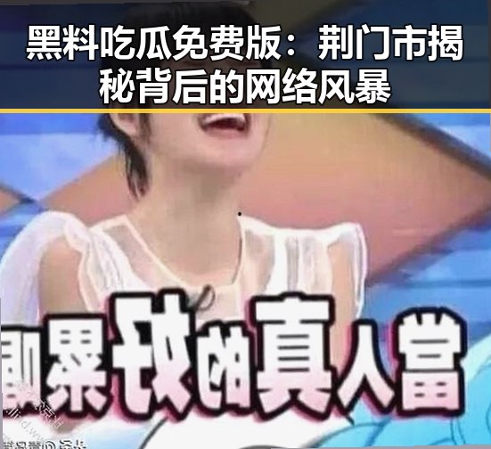 黑料吃瓜免费版：荆门市揭秘背后的网络风暴
