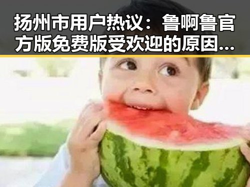 扬州市用户热议:鲁啊鲁官方版免费版受欢迎的原因解析