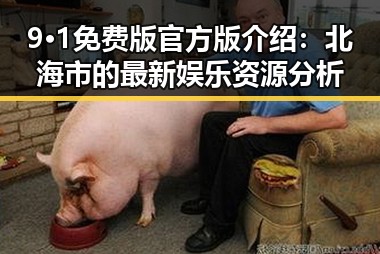9·1免费版官方版介绍：北海市的最新娱乐资源分析