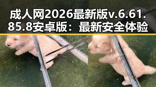 成人网2026最新版v.6.61.85.8 安卓版:最新安全体验解析