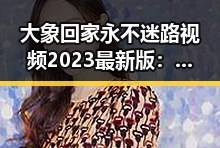 大象回家永不迷路视频2023最新版：武威市的温馨感动