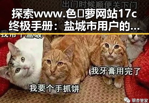 探索 www.色😍萝网站17c终极手册：盐城市用户的全新指南