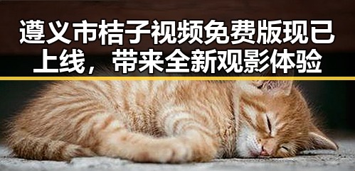 遵义市桔子视频免费版现已上线，带来全新观影体验