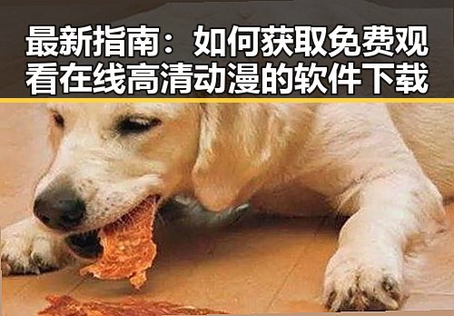最新指南：如何获取 免费观看在线高清动漫的软件下载