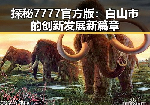 探秘7777官方版：白山市的创新发展新篇章