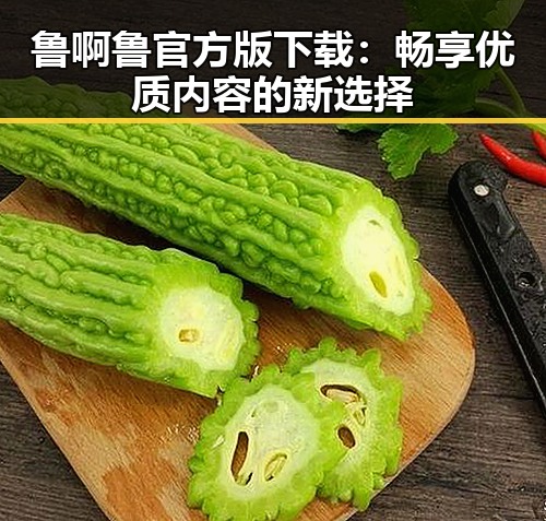 鲁啊鲁官方版下载:畅享优质内容的新选择