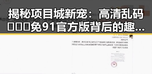 揭秘项目城新宠：高清乱码🔞❌♋免91官方版背后的趣味风潮