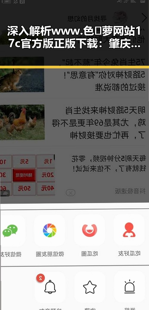 深入解析www.色😍萝网站17c官方版正版下载:肇庆市的网络新趋势