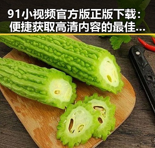 91小视频官方版正版下载：便捷获取高清内容的最佳选择