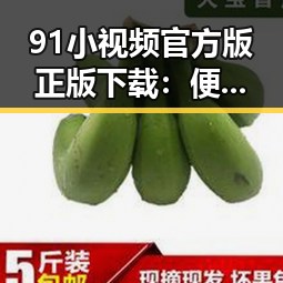 91小视频官方版正版下载：便捷获取高清内容的最佳选择