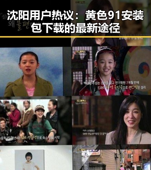 沈阳用户热议：黄色91安装包下载的最新途径