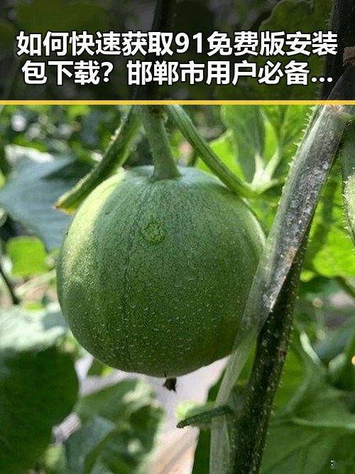 如何快速获取91免费版安装包下载?邯郸市用户必备指南