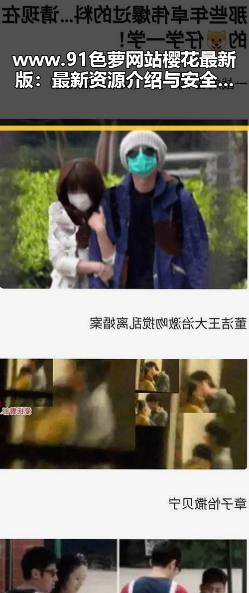 www.91色 萝网站樱花最新版:最新资源介绍与安全指南