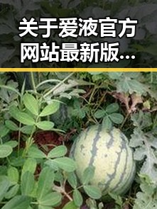 关于爱液官方网站最新版下载的详细介绍与分析