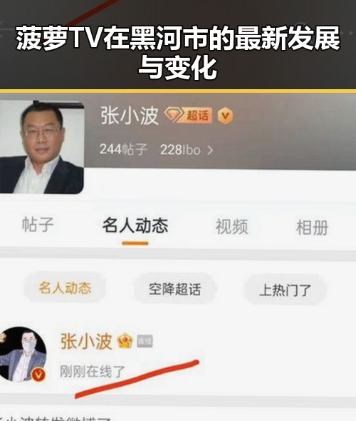 菠萝TV在黑河市的最新发展与变化
