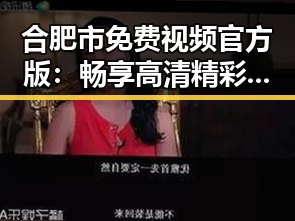 合肥市免费视频官方版：畅享高清精彩内容的全新体验