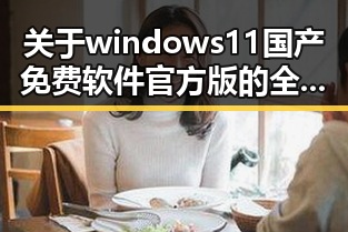 关于windows11国产免费软件官方版的全面解析