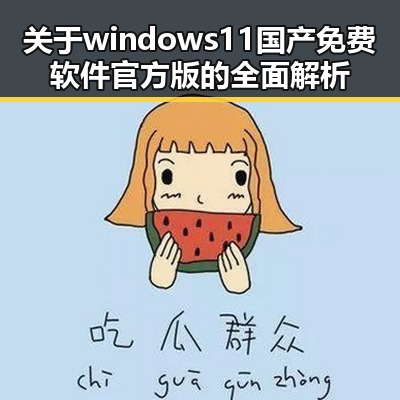 关于windows11国产免费软件官方版的全面解析