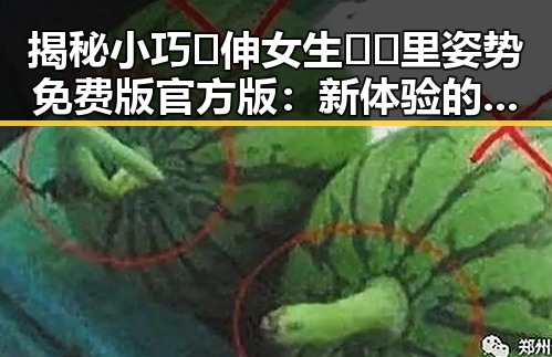 揭秘小巧🐥伸女生🍑🍑里姿势免费版官方版:新体验的对比与分析