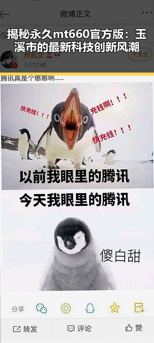 揭秘永久mt660官方版：玉溪市的最新科技创新风潮