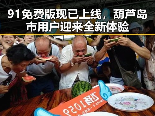 91免费版现已上线，葫芦岛市用户迎来全新体验