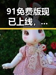 91免费版现已上线,葫芦岛市用户迎来全新体验