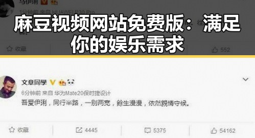 麻豆视频网站免费版:满足你的娱乐需求