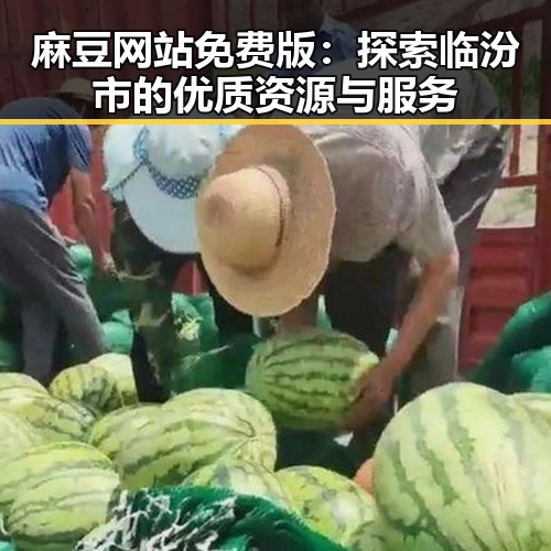 麻豆网站免费版：探索临汾市的优质资源与服务
