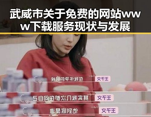 武威市关于免费的网站www下载服务现状与发展