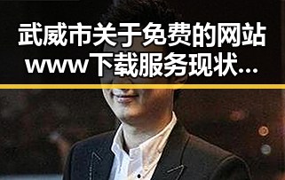 武威市关于免费的网站www下载服务现状与发展