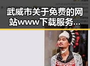 武威市关于免费的网站www下载服务现状与发展