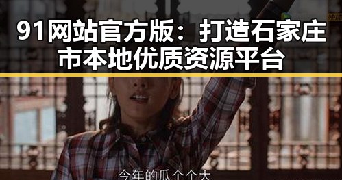 91网站官方版：打造石家庄市本地优质资源平台