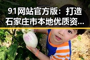 91网站官方版:打造石家庄市本地优质资源平台