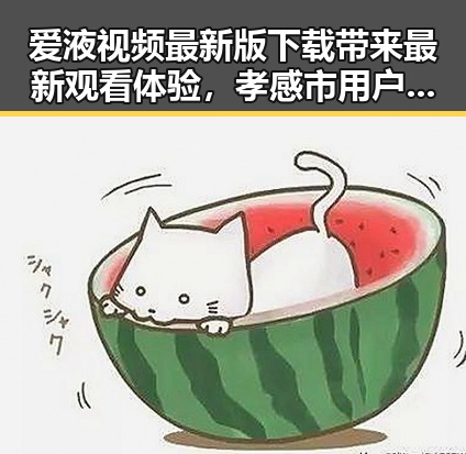 爱液视频最新版下载带来最新观看体验，孝感市用户热议