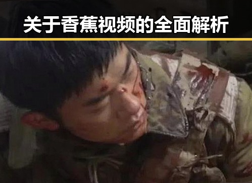 关于香蕉视频的全面解析